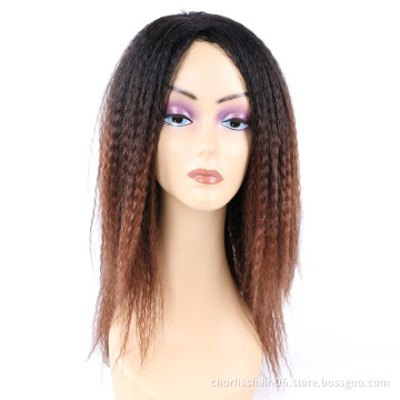 High Quality Natural Fashion Comfortable Purple Brown Blonde Ombre Afro YAKI Straight Kinky Synthetic Hair Wigs for Black Women